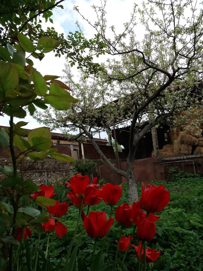 Aida Bed&Breakfast Tat'ev Exterior foto